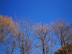 -秦岭终南山世界地质公园翠华山景区