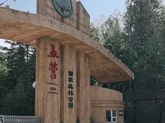 -五营国家森林公园
