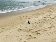 -海云台海滩