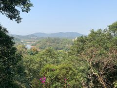 -天鹿湖森林公园
