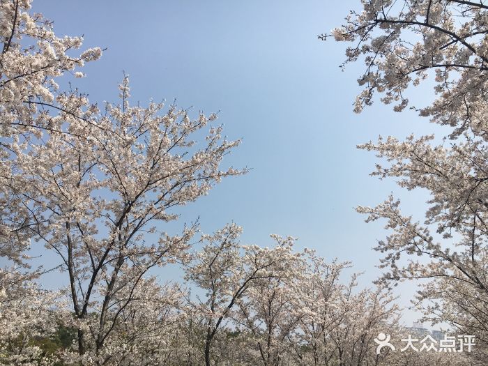 金匱公園-圖片-無錫景點/周邊遊-大眾點評網