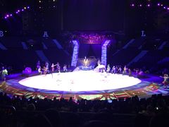 -珠海横琴长隆《卡卡虎奇遇记》