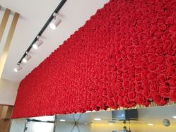 点击看大图 -尚·丹尼Hair