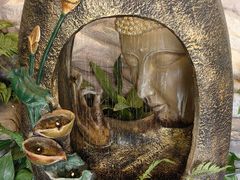 -钦善斋·养生膳食·精典川菜(武侯祠店)