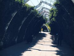 -天津东丽湖风景区