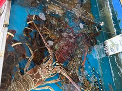 -四川小胡子海鲜(丁村万人海鲜广场店)