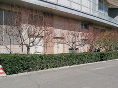 -永旺梦乐城国际商城(北清路店)