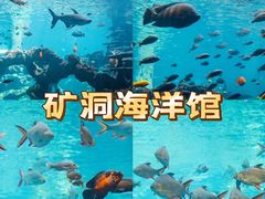 -长鹿旅游休博园