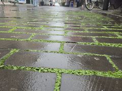-庭院小酌(瑞莲街店)