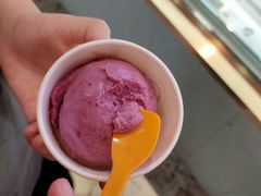 -iceason爱茜茜里·意大利健康冰淇淋(骑龙巷店)