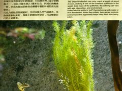 -上海海洋水族馆