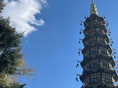 -哈尔滨极乐寺