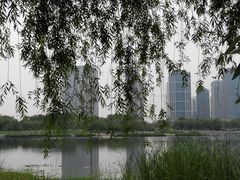 -尚贤河湿地