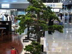 -方恒购物中心(望京小街店)