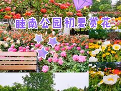 -睦南公园