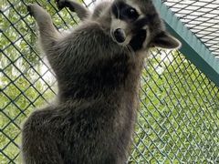 -水上乐园·欢乐世界