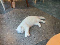 -彳亍咖啡·这里(水湾路店)