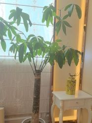点击看大图 -茜尔维亚修身连锁(庆春银泰店)