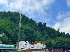 -西双版纳原始森林公园