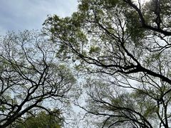 -采石矶景区