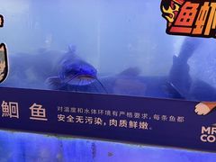 -鱼酷活鱼烤鱼(雨花客厅店)