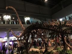 -自贡恐龙博物馆