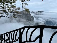 -张家界天门山国家森林公园