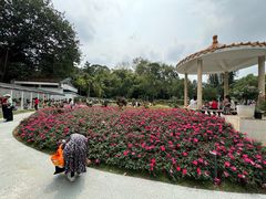 -人民公园(罗湖区)