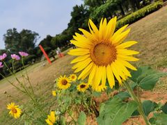 -福建鲤鱼洲酒店