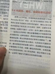 -LUNA皮相美·骨相美高级美感