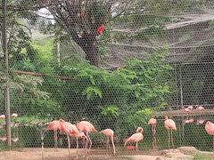 -石家庄市动物园