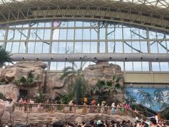 -杭州开元森泊度假乐园