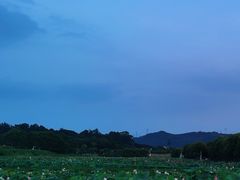 -光明小镇欢乐田园