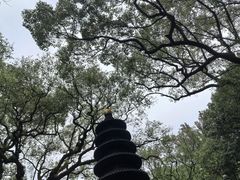 -普陀山风景名胜区-法雨禅寺