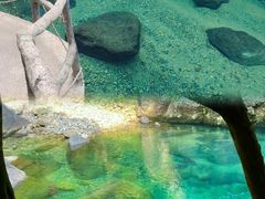 -石台牯牛降景区