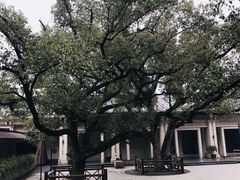 -东航云逸酒店(九溪烟树店)