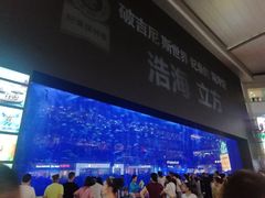 -成都浩海立方海洋公园