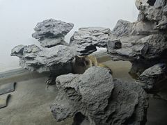 -白兔子密室(长寿路店)