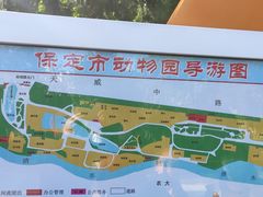 -保定市动物园