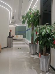 -联合丽格·张菡丽格医疗美容