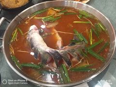 -新凯里酸汤鱼(飞山街店)