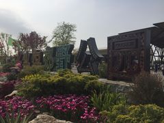 -上海长兴岛郊野公园