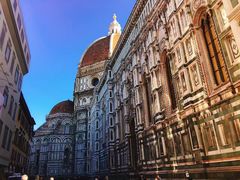 -圣母百花大教堂穹顶