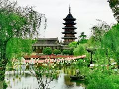 -深圳湾公园(南山区)