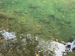 -小七孔景区-六十八级跌水瀑布
