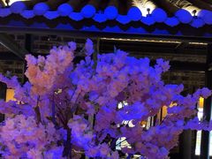 -绿茶餐厅(昆明世纪金源店)