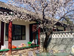 -野鸭湖国家湿地公园