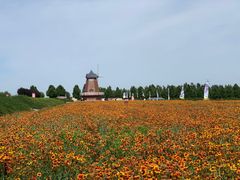 -君乐宝优致牧场