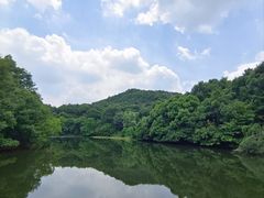 -白马涧龙池景区