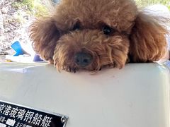 -双龙峡